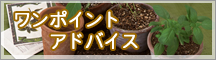 緑の相談所 ワンポイントアドバイス