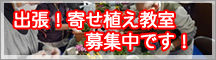 緑の相談所 出張 寄せ植え教室