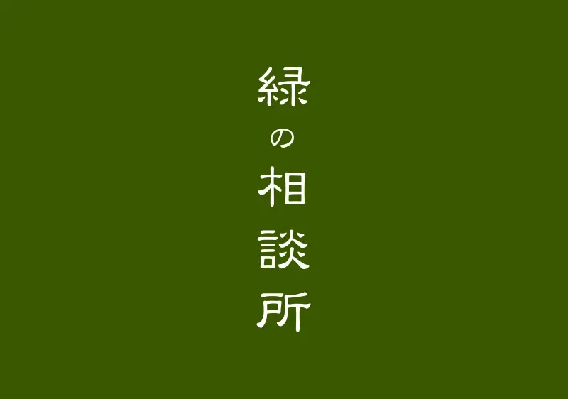デフォルト画像
