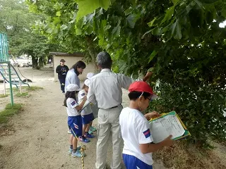巨樹名木学習講座
