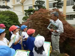 巨樹名木学習講座