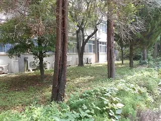 サンプル例