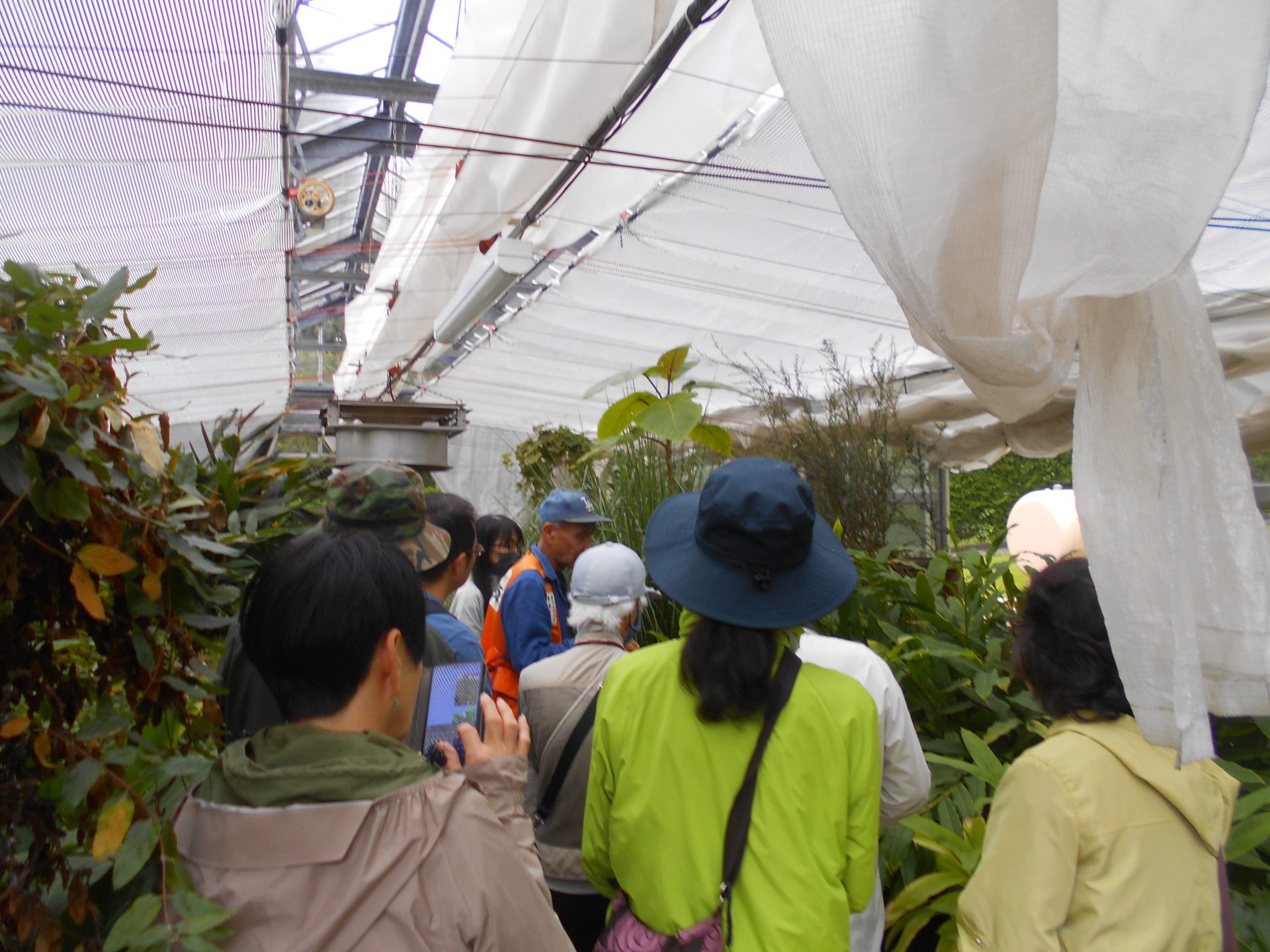 第１７回　緑の教室「薬用植物教室」を開催しました