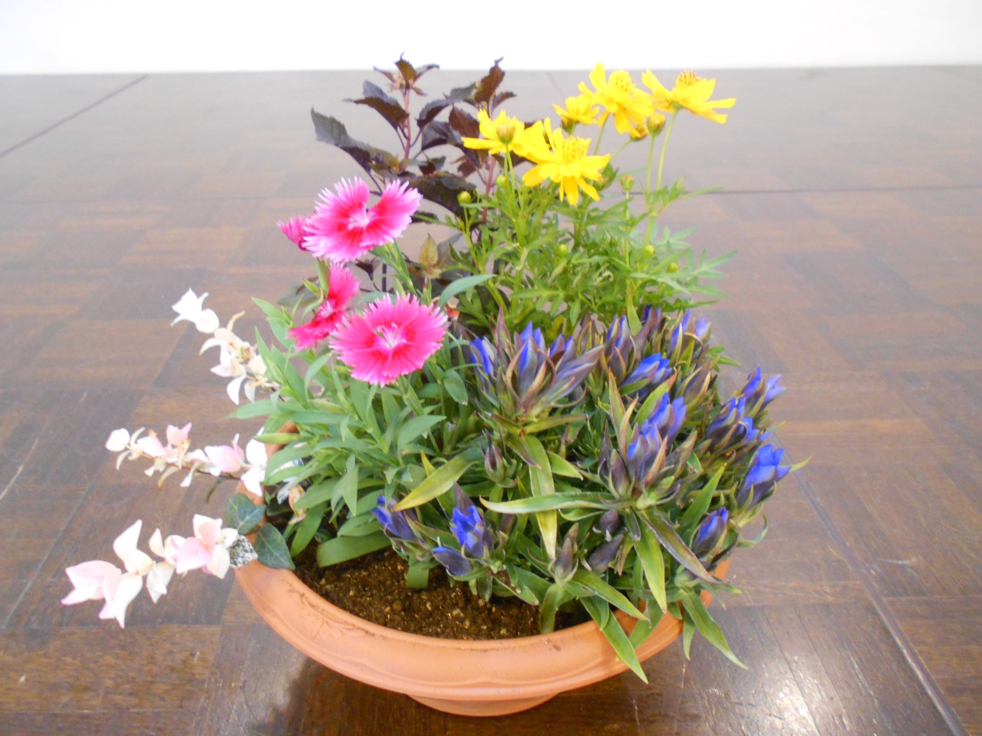 第１９回　緑の教室「秋を彩る寄せ植え」を開催しました