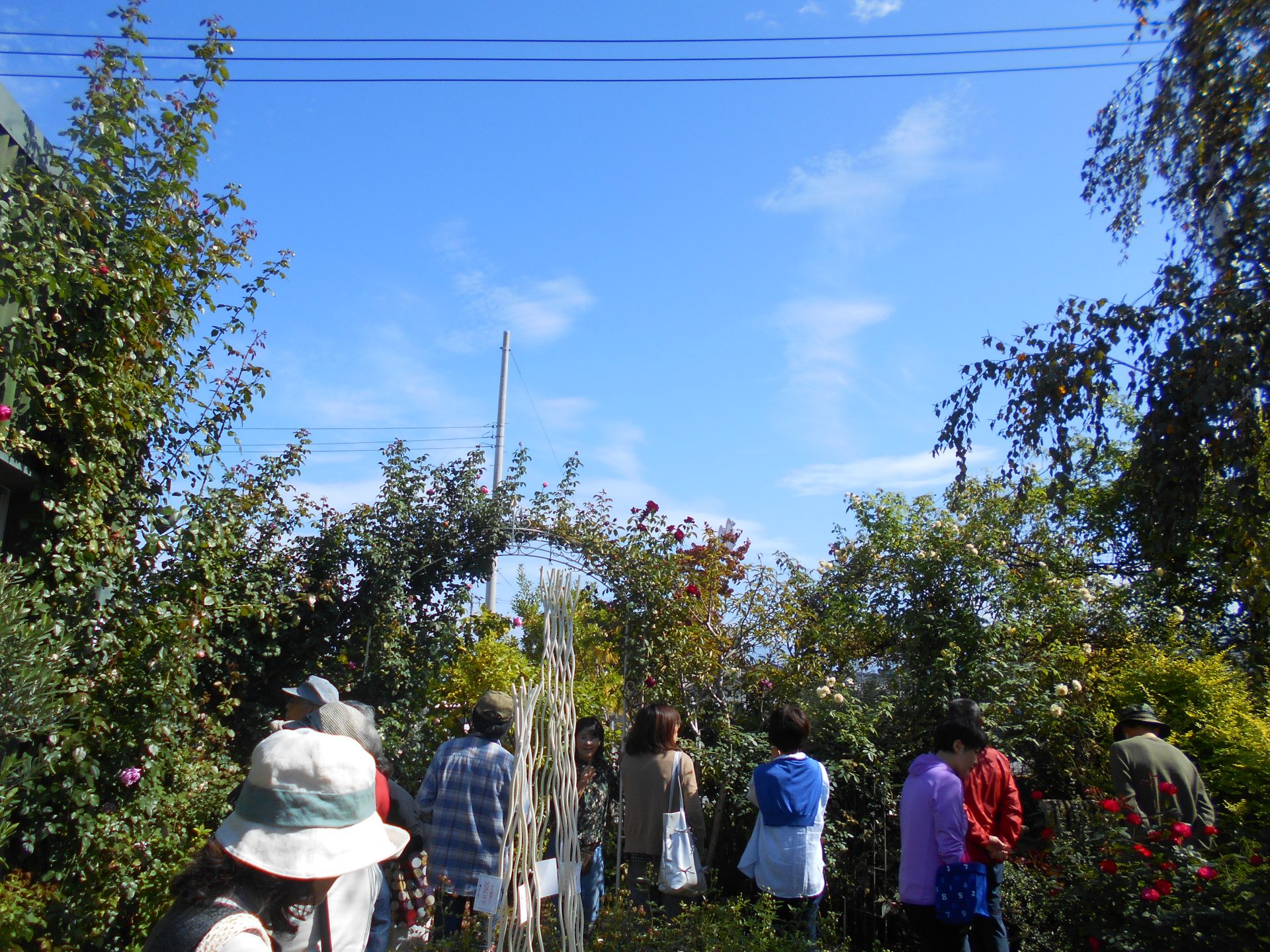 第２２回　緑の教室「バラのある庭作り」を開催しました