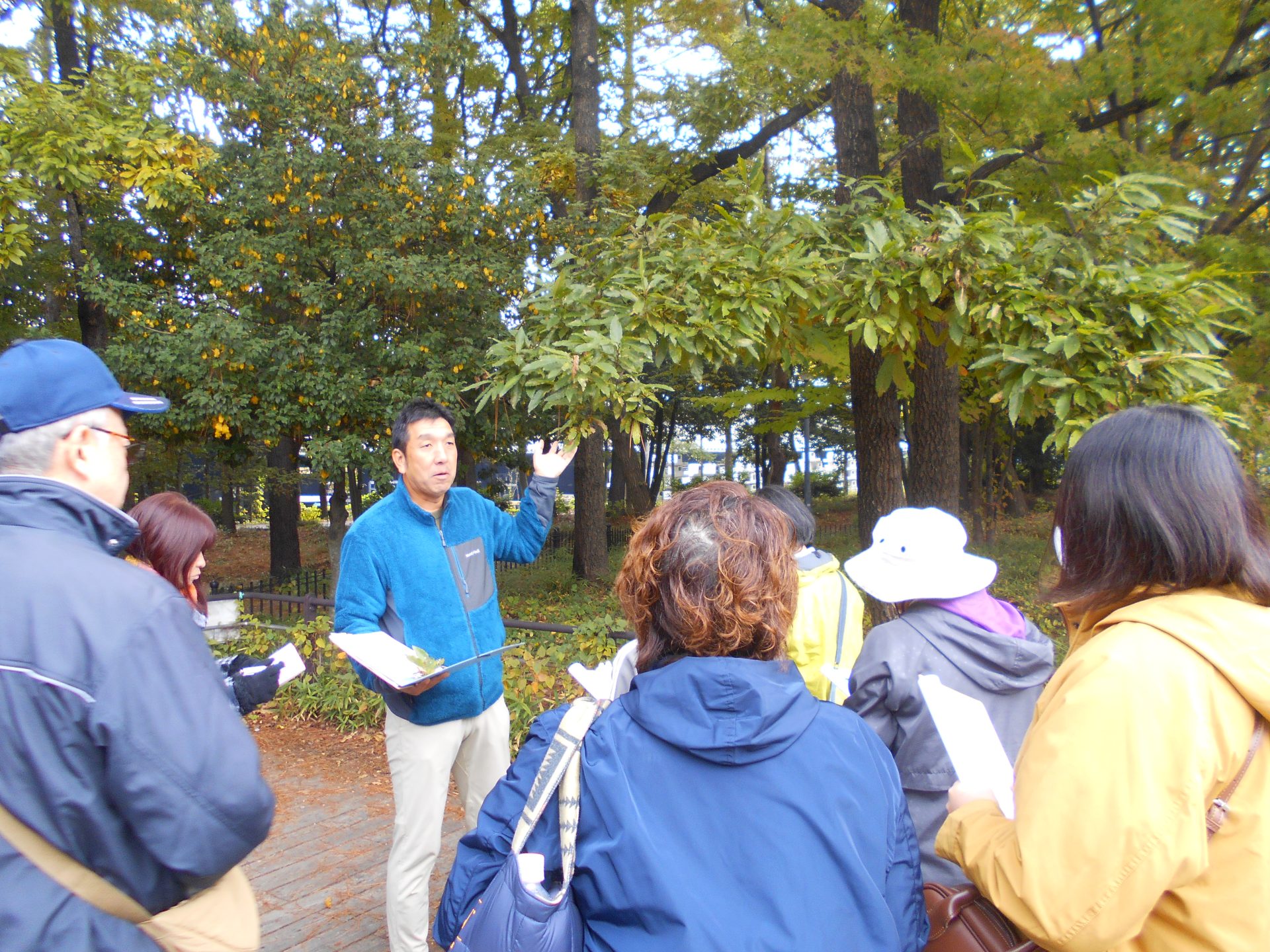 １１月９日 緑の教室（樹木観察会）の受付を開始しました