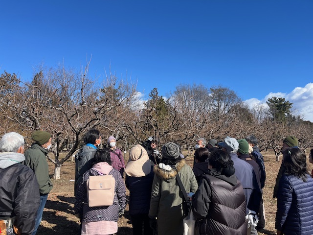 第３０回　緑の教室「庭で実のなる木を育てよう」を開催しました