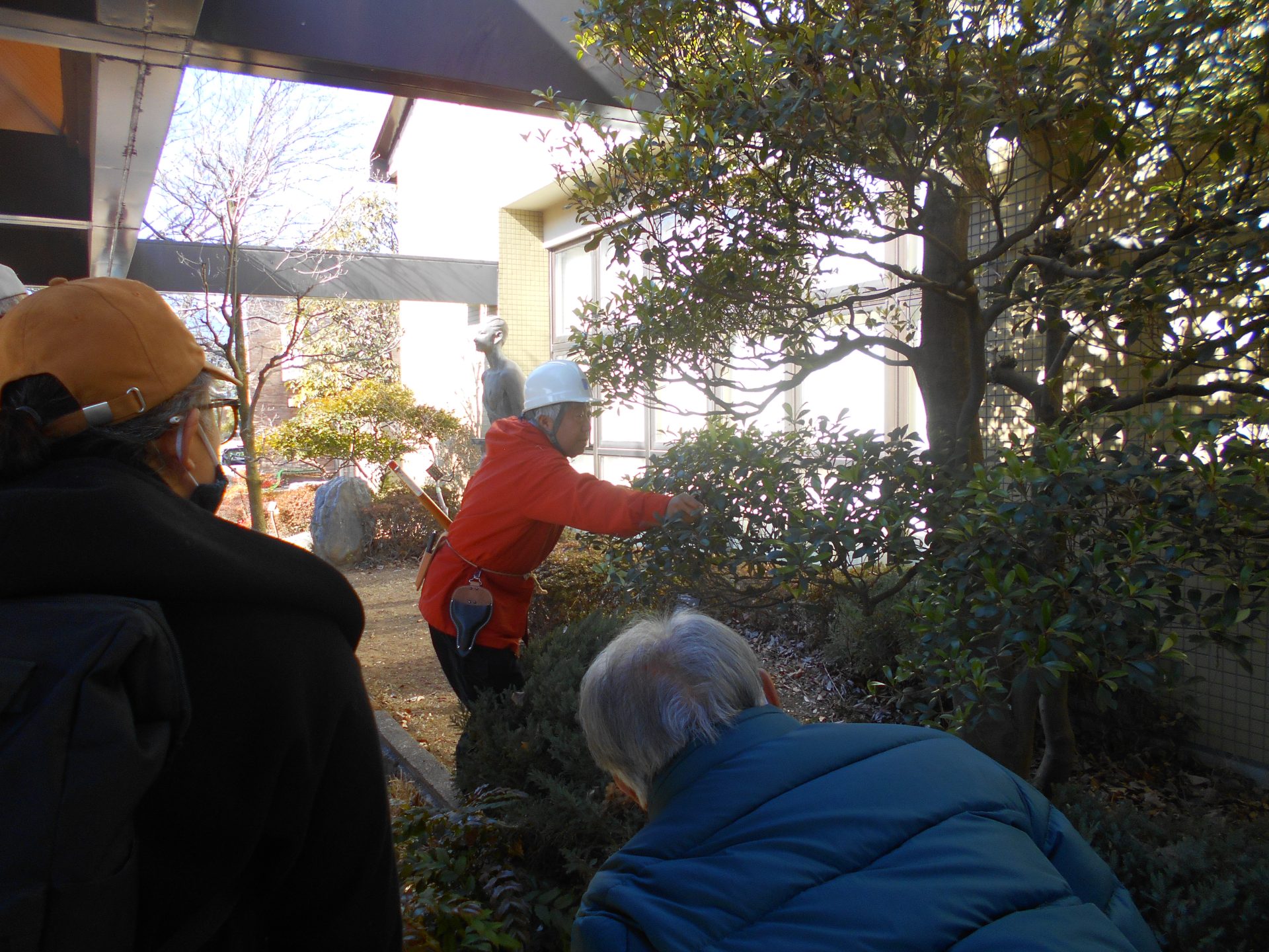 第３１回　緑の教室「春の庭木の手入れ」を開催しました