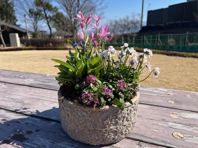 第３４回　緑の教室「コンテナガーデン作り」を開催しました