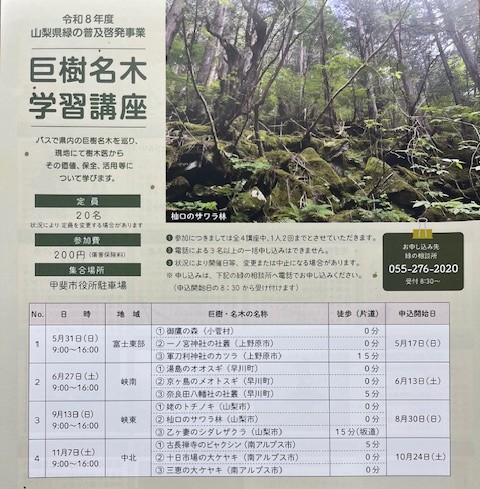 巨樹名木学習講座