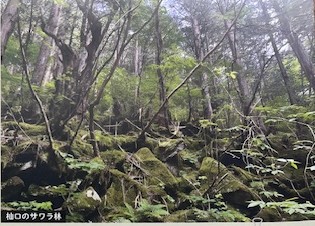 令和８年度「巨樹名木学習講座」を掲載しました