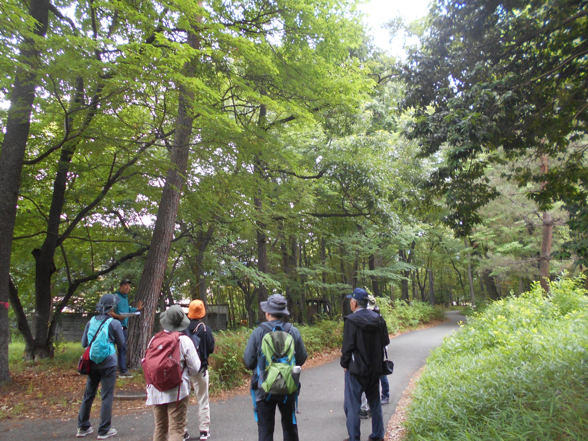 第６回　緑の教室「身近な自然を楽しもう」を開催しました