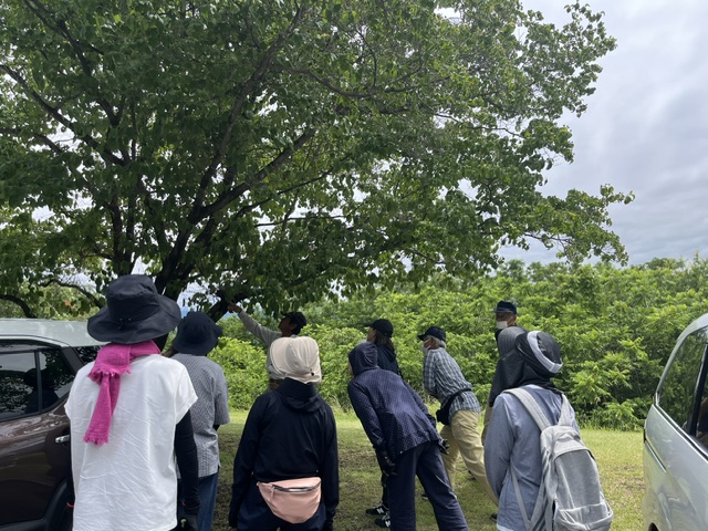 第５回　緑の教室「夏の庭木の手入れ」を開催しました