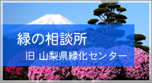 山梨県緑化センター