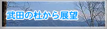 武田の杜から展望
