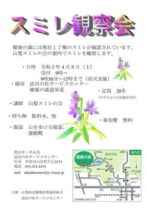 スミレ観察会チラシ.$hd