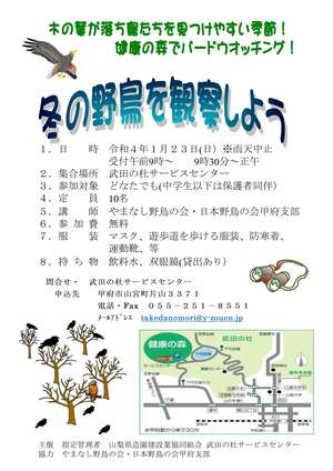 冬の野鳥を観察しようチラ