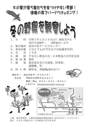 冬の野鳥を観察しようチラ