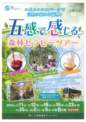 山交セラピー表