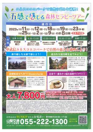 山交セラピー裏