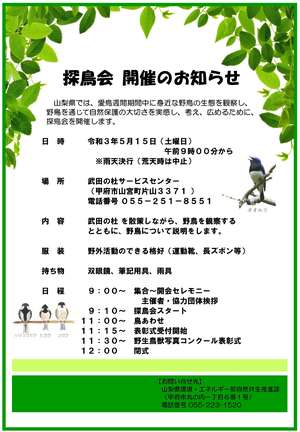 探鳥会チラシ