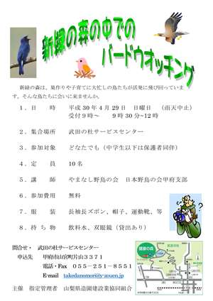 新緑の森の中でのバードウ