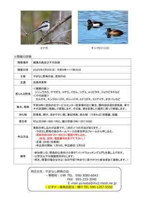 第３回ビギナー探鳥会・案内（会ＨＰ用）-2