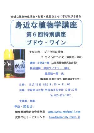 第６回身近な植物学講座