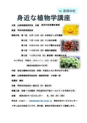 身近な植物講座Ⅱ武田の杜チラシ