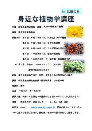 身近な植物講座Ⅱ武田の杜チラシ