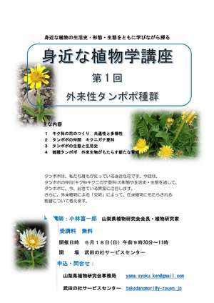 身近な植物講座第一回チラシ