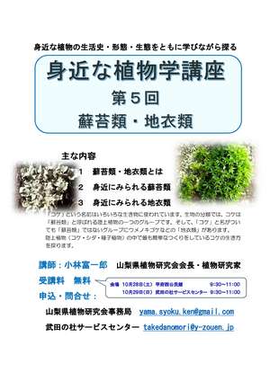 身近な植物講座第五回チラシ（蘚苔類・地衣類）