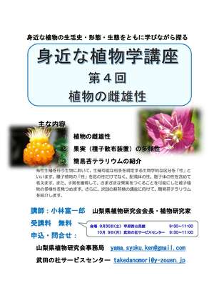 身近な植物講座第四回チラシ（植物の雌雄性）