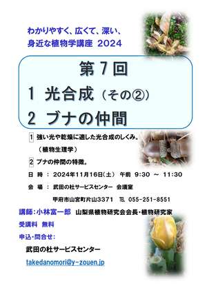 000 第7回 ブナ科ﾁﾗｼ