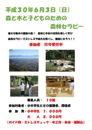 H30森と木と子どものための森林セラピー　案内パンフ-1