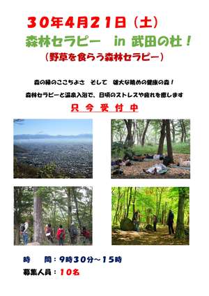 H30.4.21セラピー　案内パンフ-1
