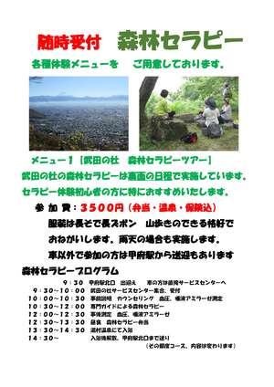 PDF　R2セラピー　新案内パンフ-1