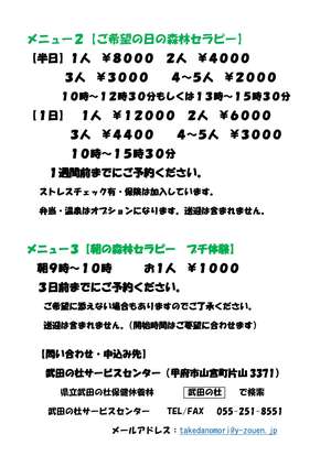 PDF　R2セラピー　新案内パンフ-2