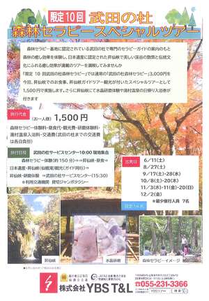 R4森林セラピーSPツアー