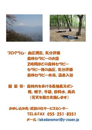 R6（４、５月）武田の杜で森林セラピー-2