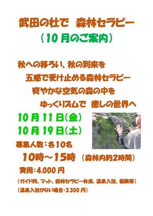 R6（10月）武田の杜で森林セラピー-1