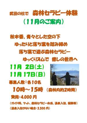 R6（11月）武田の杜で森林セラピー体験-1