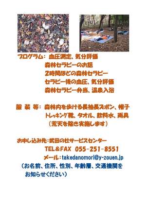 R6（11月）武田の杜で森林セラピー体験-2