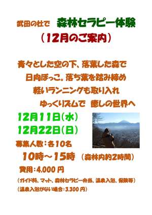 R6（12月）武田の杜で森林セラピー体験-1