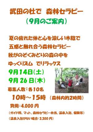 R6（9月）武田の杜で森林セラピー-1
