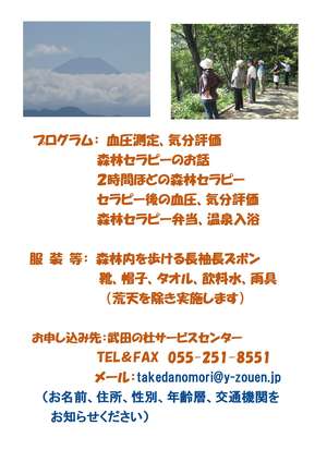 R6（9月）武田の杜で森林セラピー-2