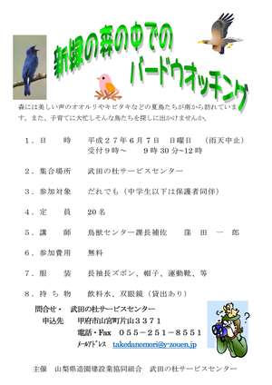新緑の中のバードウオッチング