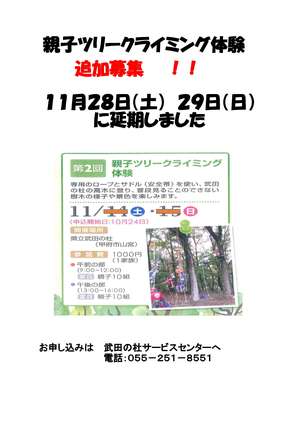 T C再募集