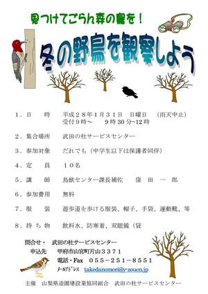 冬の野鳥を観察しようチラシ