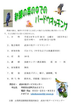 新緑の中のバードウオッチング